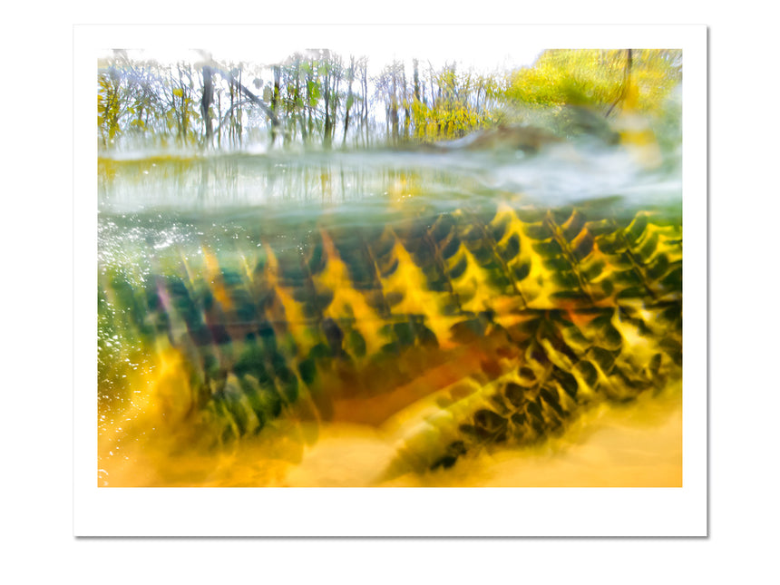 Autumn River #22