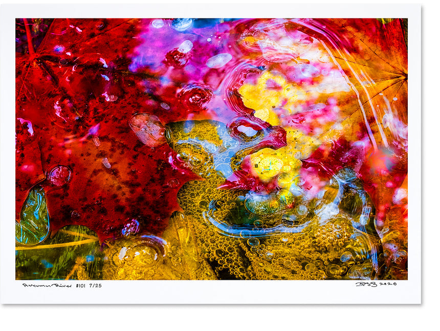 Autumn River - 6 Posters - Edition of 25