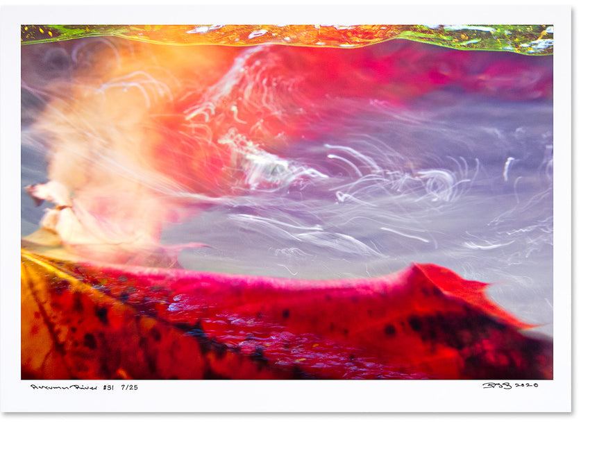 Autumn River - 6 Posters - Edition of 25
