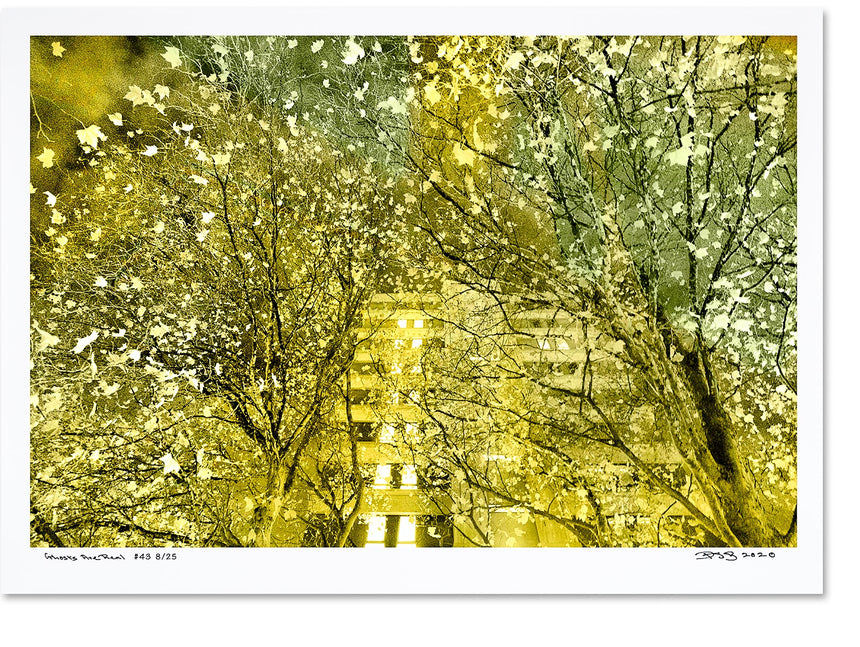 Ghosts Are Real - 6 Posters - Limited Edition of 25