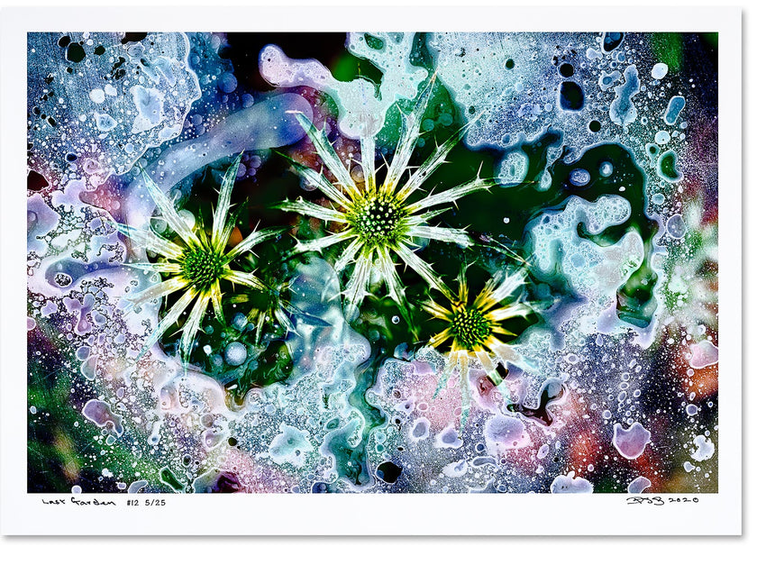 Last Garden - 6 Posters - Limited Edition of 25