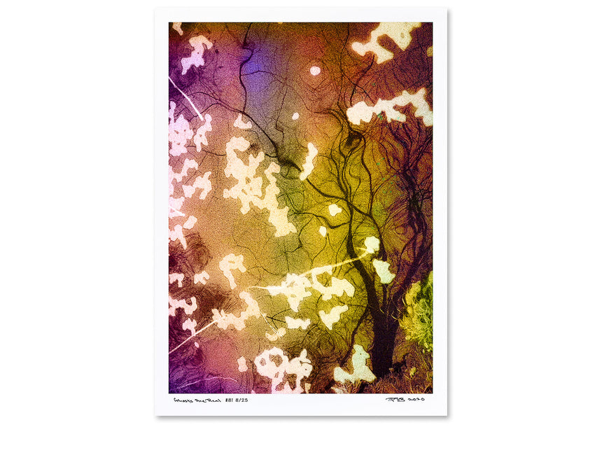 Ghosts Are Real - 6 Posters - Limited Edition of 25