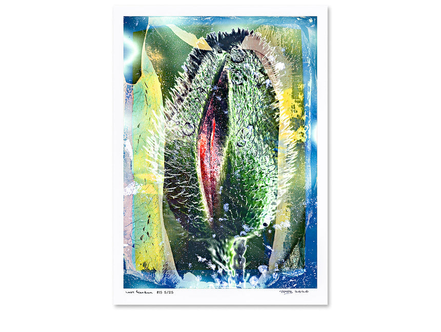 Last Garden - 6 Posters - Limited Edition of 25